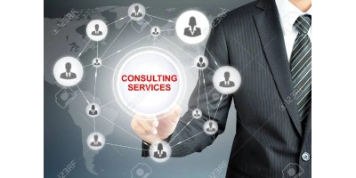 Consulting Service